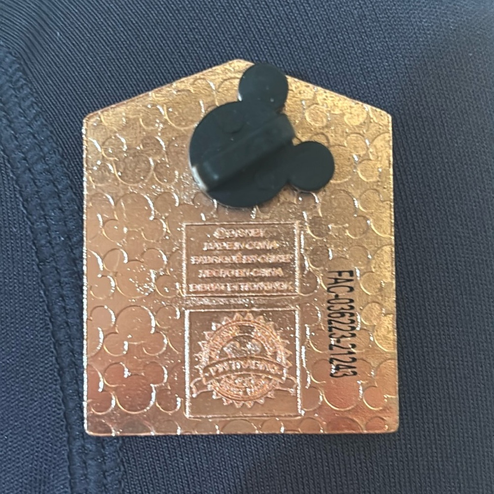 Disney Beauty and the Beast Windows of Love Stained Glass Pin Cast - Picture 2 of 2